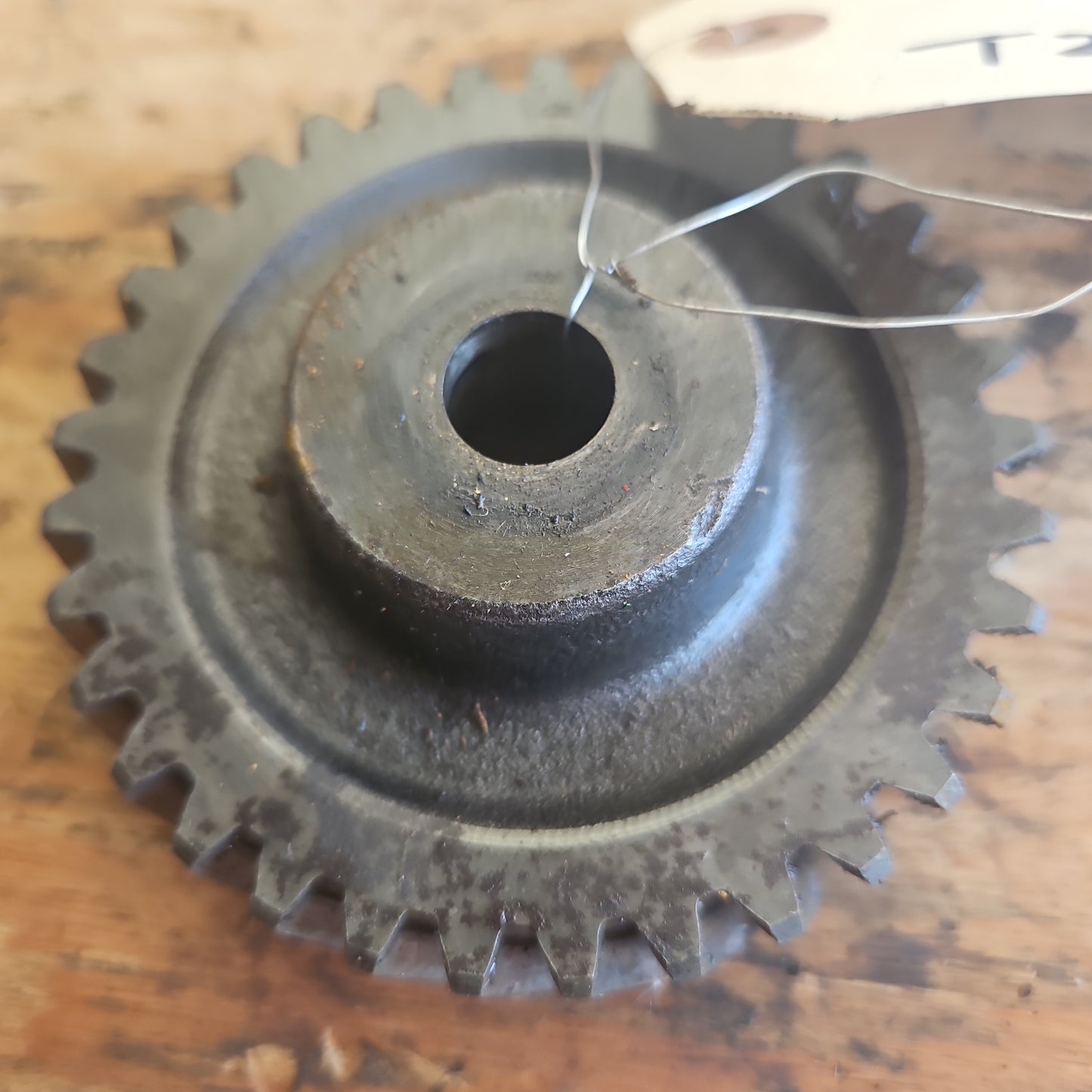 Oil Pump Drive Gear